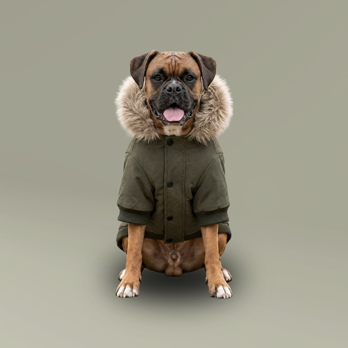 Dog parka front view with faux fur hood