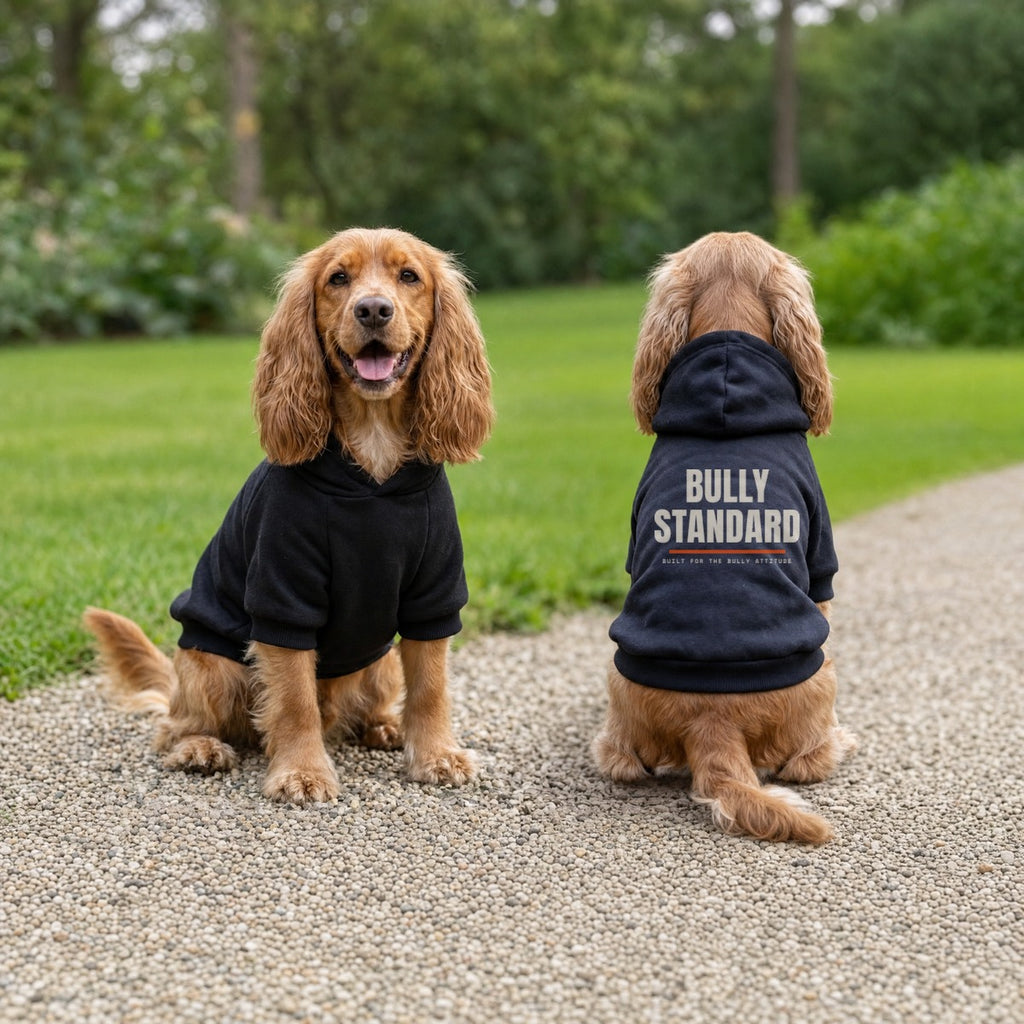 Bully Standard dog hoodie in black, logo on the back