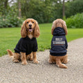 Bully Standard dog hoodie in black, logo on the back