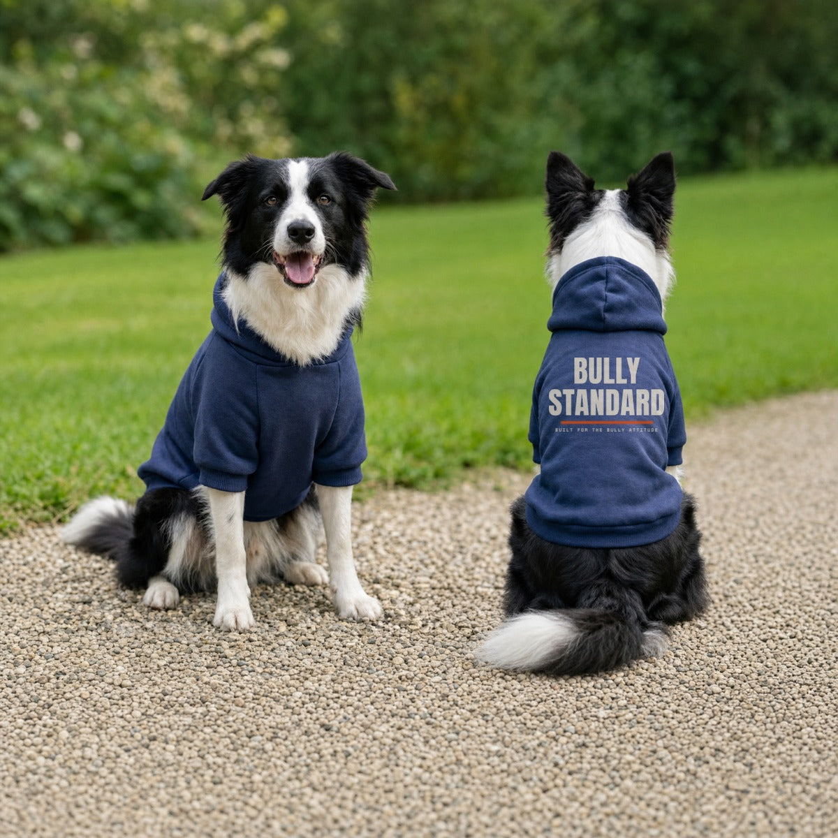 Bully Standard dog hoodie in navy, logo on the back