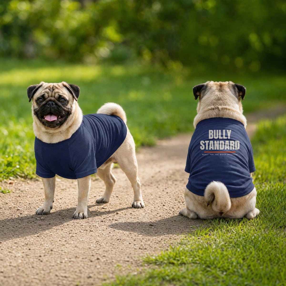 Bully Standard dog raglan tee in navy, logo on the back